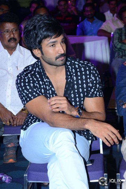 Sarrainodu-Movie-Success-Meet